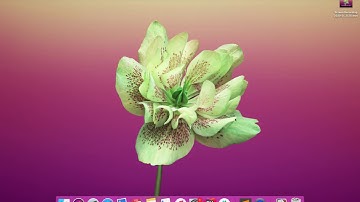 Learning GraphQL - Connections