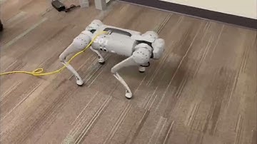 Unitree Go1 Quadruped Robot Project 1