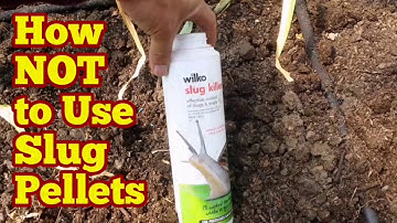 How NOT to Use Slug Pellets