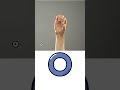 How to Sign Language Letters | Learn ASL Alphabet ABC