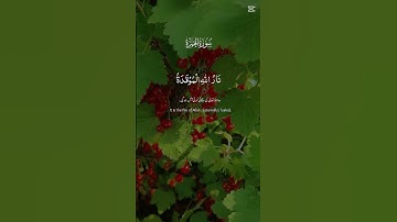 قرآن كريم #المصحف #اكسبلور #القزابري #الرحمن #المغرب #دويتو