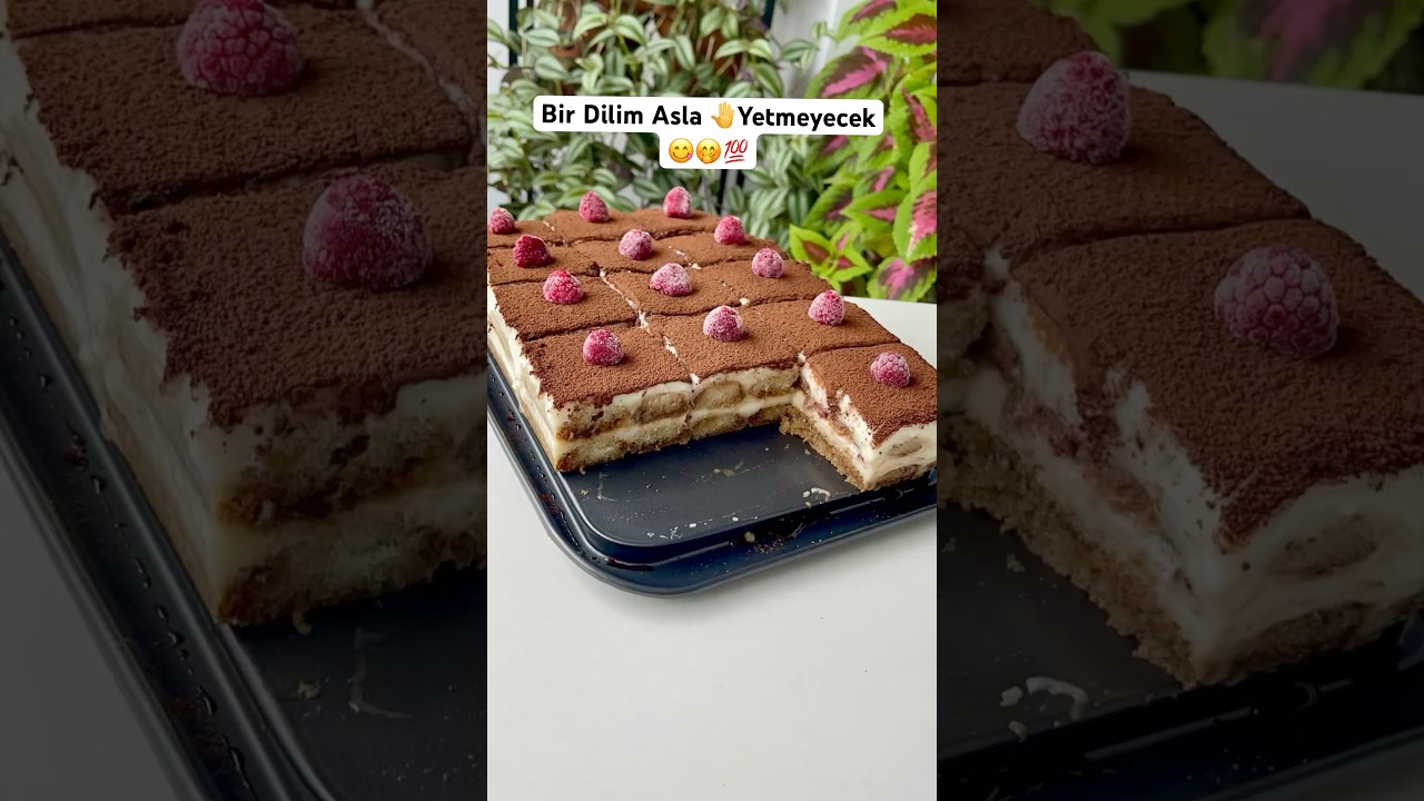 KEDİ DİLLİ NEFİS TİRAMİSU👌 #tiramisu #tiramisutarifi KEDİ DİLLİ NEFİS TİRAMİSU👌 #tiramisu #tiramisutarifi