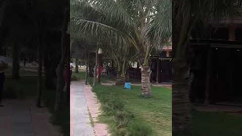 hồ cốc vũng tàu sạch  mà ăn hải sản cũng rẻ hơn bãi sau ,chỗ ngồi thoáng mát ạ