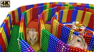 Funny Pet. Build 6Level Circle Maze For Hamster From Magnetic Balls (Satisfying)| Magnet Satisfying