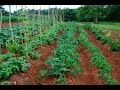 Huerto Agroecológico Modelo- Curso de Productores Agroecológicos