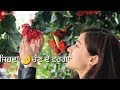 Chann de varga whatsapp status ||tanishq kaur|| Whatsapp Status Video Download Free