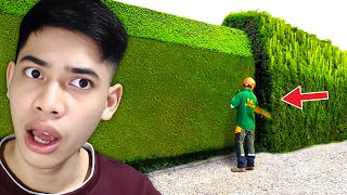 Kerja Kok Jadi Seru Begini Ya