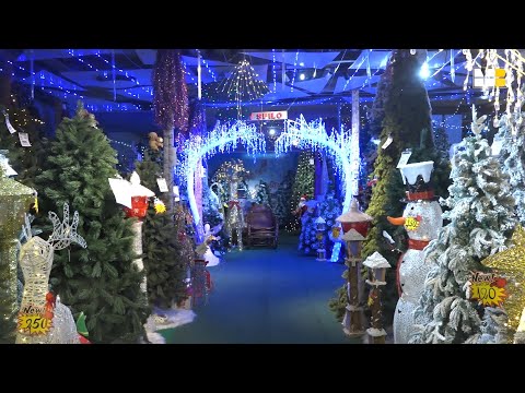 მაღაზია 7 სპილოს ჯადოსნური გარემო და შეთავაზებები