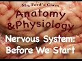 Introduction to the Nervous System