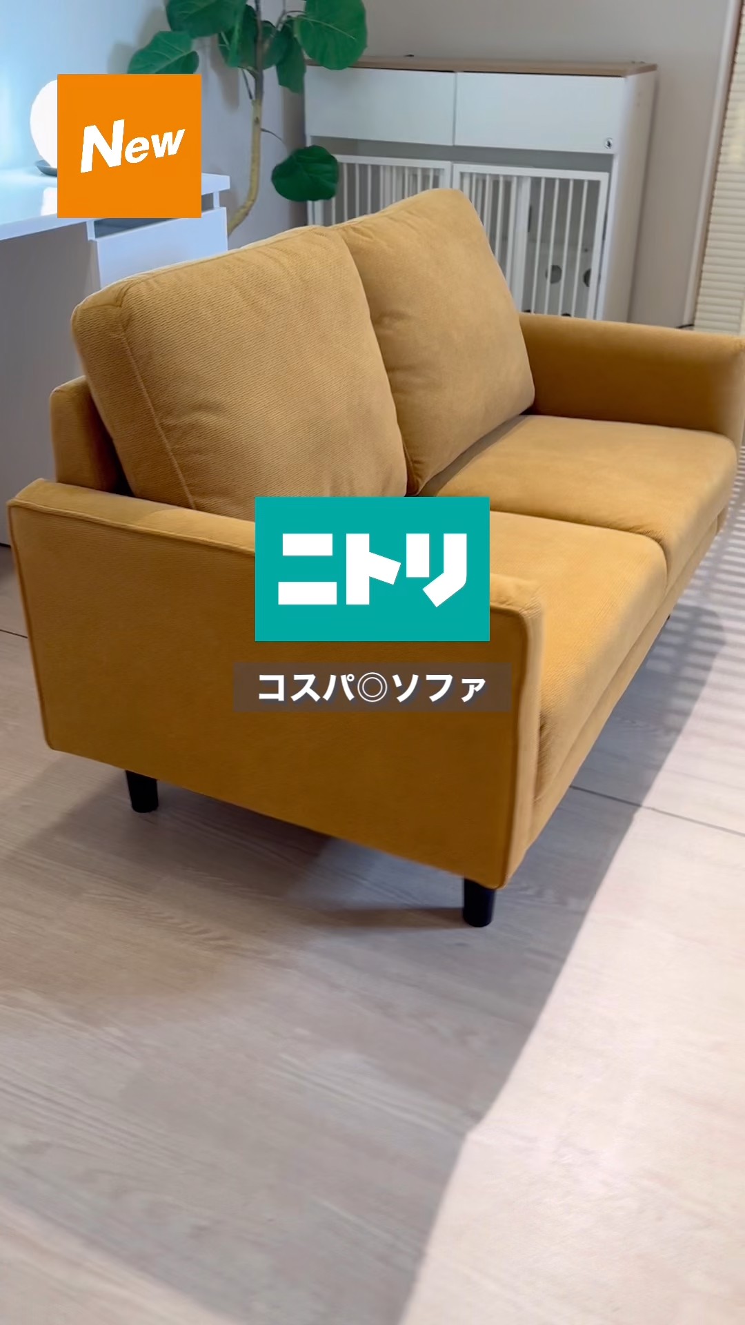 Simple design 2-seater sofa #Nitori #Nitori products #sofa