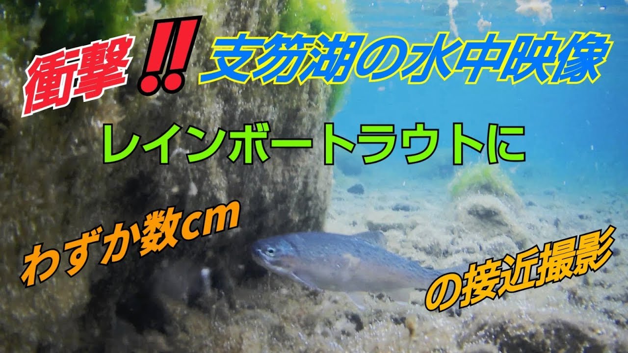 支笏湖 Qootubeフィッシング 支笏湖 Qootubeフィッシング