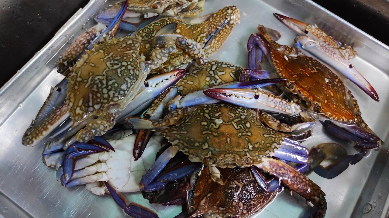 Cara Siang Potong Dan Cuci Bersih Ketam Youtube