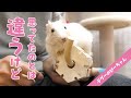 飼い主が期待していた遊び方とは違う方法で楽しむデグーが可愛い！Funny and Cute Degu