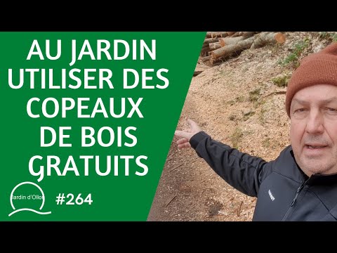 #264-Au jardin, comment utiliser des copeaux de bois gratuits 🪵 hqdefault