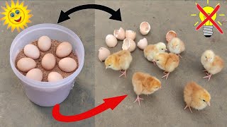 How to make incubator at home without electricity result 99 % || Sunlight incubator