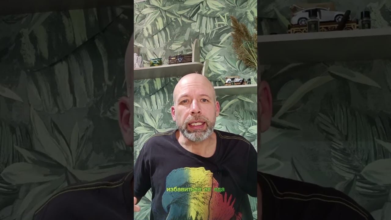 Блги  в игре!