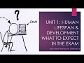 Unit 1 human lifespan development  what to expect in the exam health  social care btec level 3