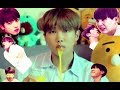 피 땀 눈물 Blood Sweat & Tears - A Parody by BTS + A CLOSER LOOK!!