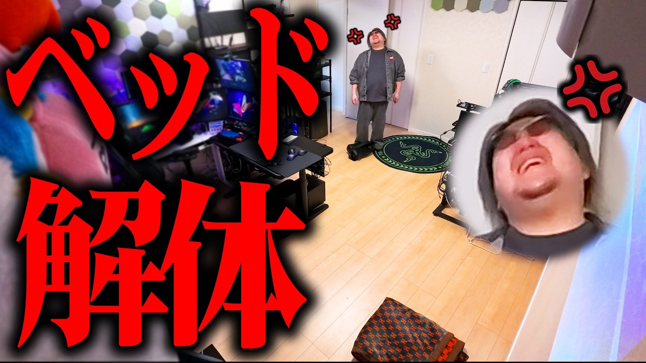 Prank] I decided to dismantle my bed because it was in the way lol