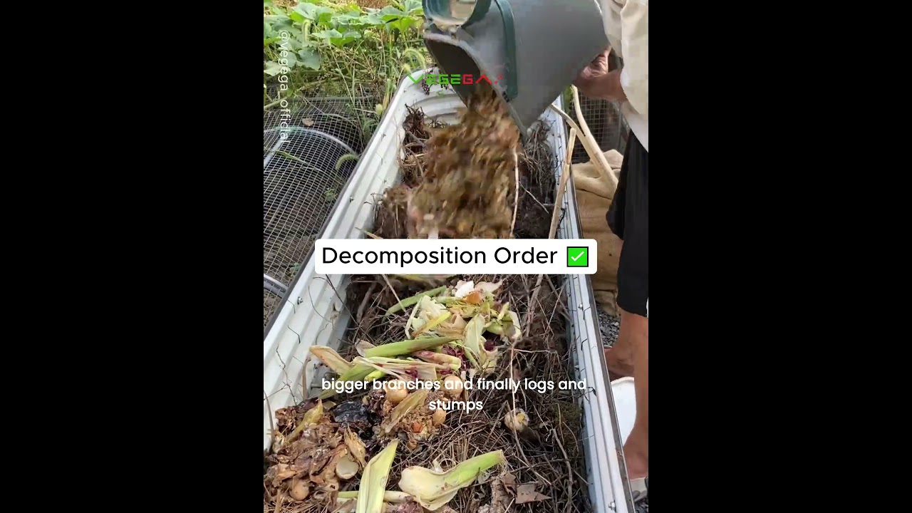 Lasagna Gardening: A Simple Way to Build Rich Soil Naturally!