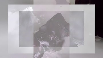 CHAT NOIR / HYPERURANION - N1