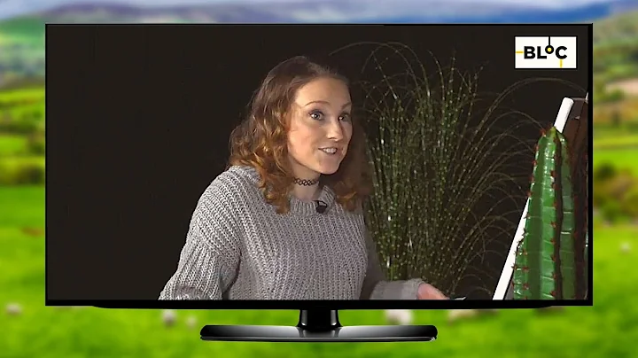 I was on Irish Language TV speaking in Irish / Gaeilge / Gaelic | Clisare