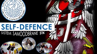 Self-Defence System STK screenshot 4