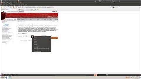 WebGoat - HTTP Splitting and Cache Poisining