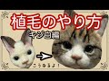 【羊毛フェルト】キジ猫フェイスブローチの作り方！