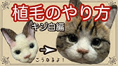 猫 大喜び フェルトボールの作り方 How To Make Felt Balls Cat Toy Youtube 猫 大喜び フェルトボールの作り方 How To Make Felt Balls Cat Toy Youtube