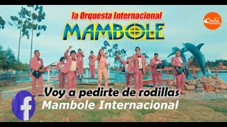 MAMBOLE INTERNACIONAL -  VOY A PEDIRTE DE RODILLAS