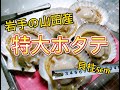 岩手県山田町産の特大ホタテで3品作って秋を堪能！やはりバター醤油は神！？大学院生の日常料理。