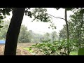 Nature’s music / Rainy day at village / Relaxing music / Healing sound