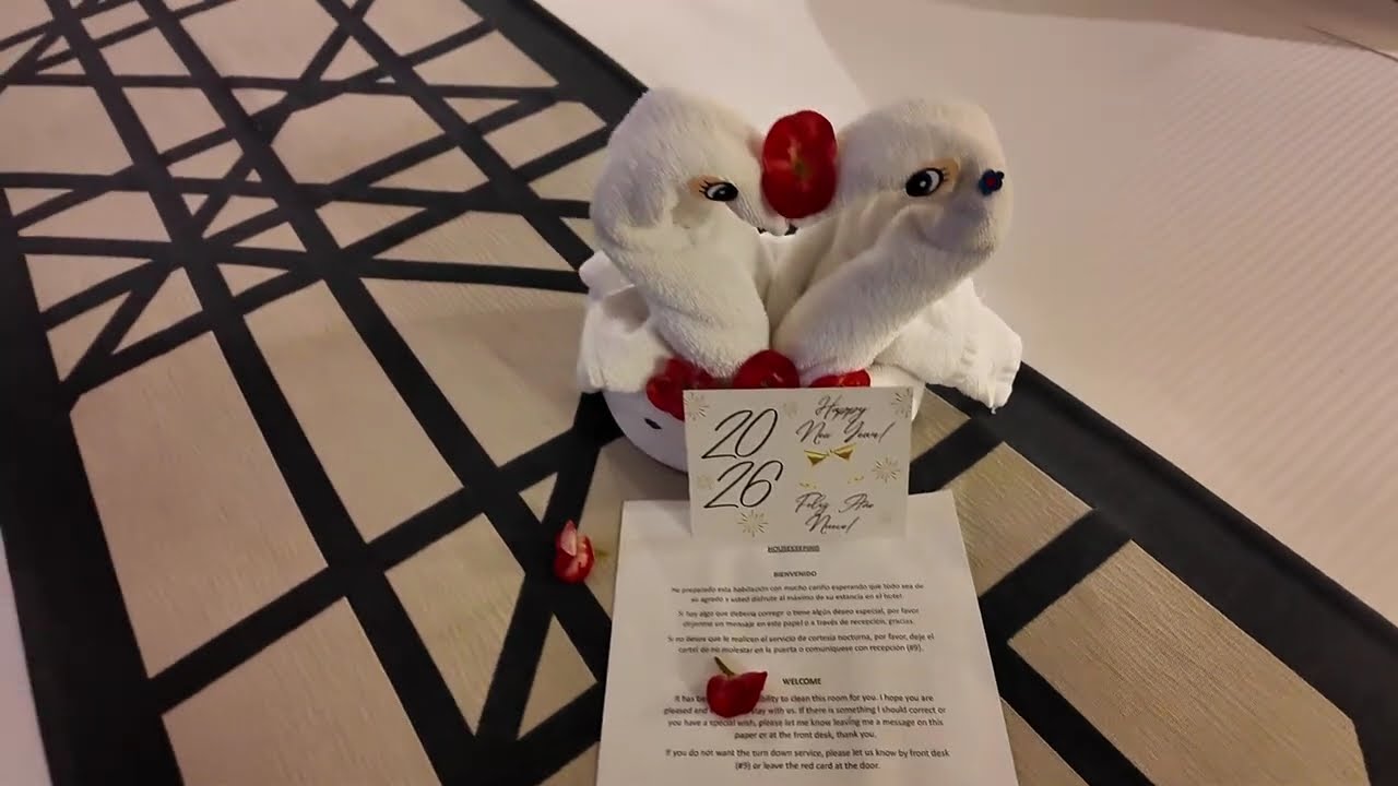 RUI BAJA CALIFORNIA ROOM TOUR (FUNNY)