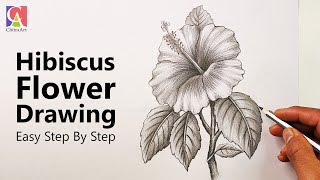 How To Draw Hibiscus Flower | Step By Step Drawing with Shading | Video for Beginners