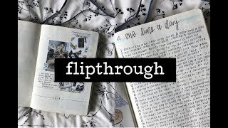 2019 bullet journal flipthrough