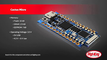 Seeed Cactus Micro | Digi-Key Daily