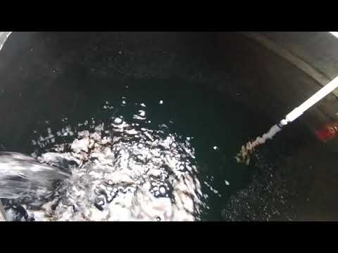 Float level/reed sensor