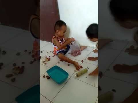 Tokke bawang