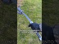 El Arma Que Exigia Mas Destreza Que Valor