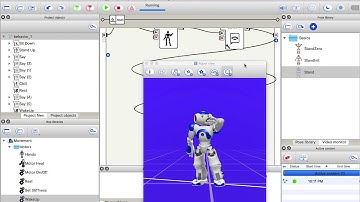 Nao Humanoid Robot - Basic Activities