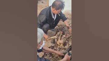 Bốc mộ,sang cát,cải táng