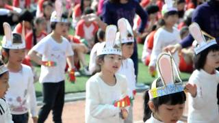 DSC_0346.AVI