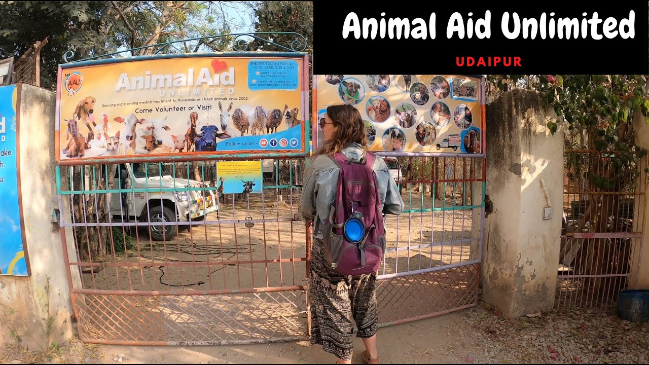 Animal Aid, Udaipur, India 2020