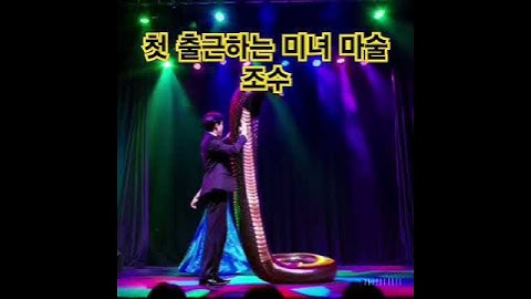 하필 첫 출근한 마술 조수!! #첫출근 #transformation #미녀마술사