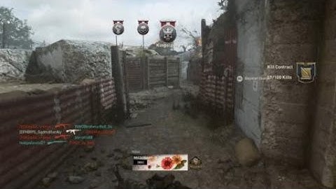 COD WWII hackers