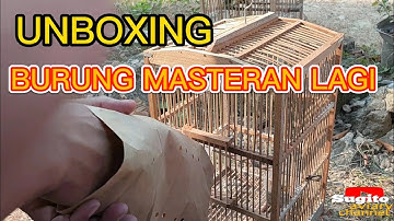 UNBOXING BURUNG MASTERAN LAGI || JING JING BATU UNTUK PANCINGAN ‼️