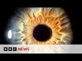 See what your brain does when you look at art  bbc news