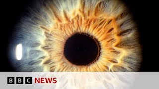 See What Your Brain Does When You Look At Art Bbc News