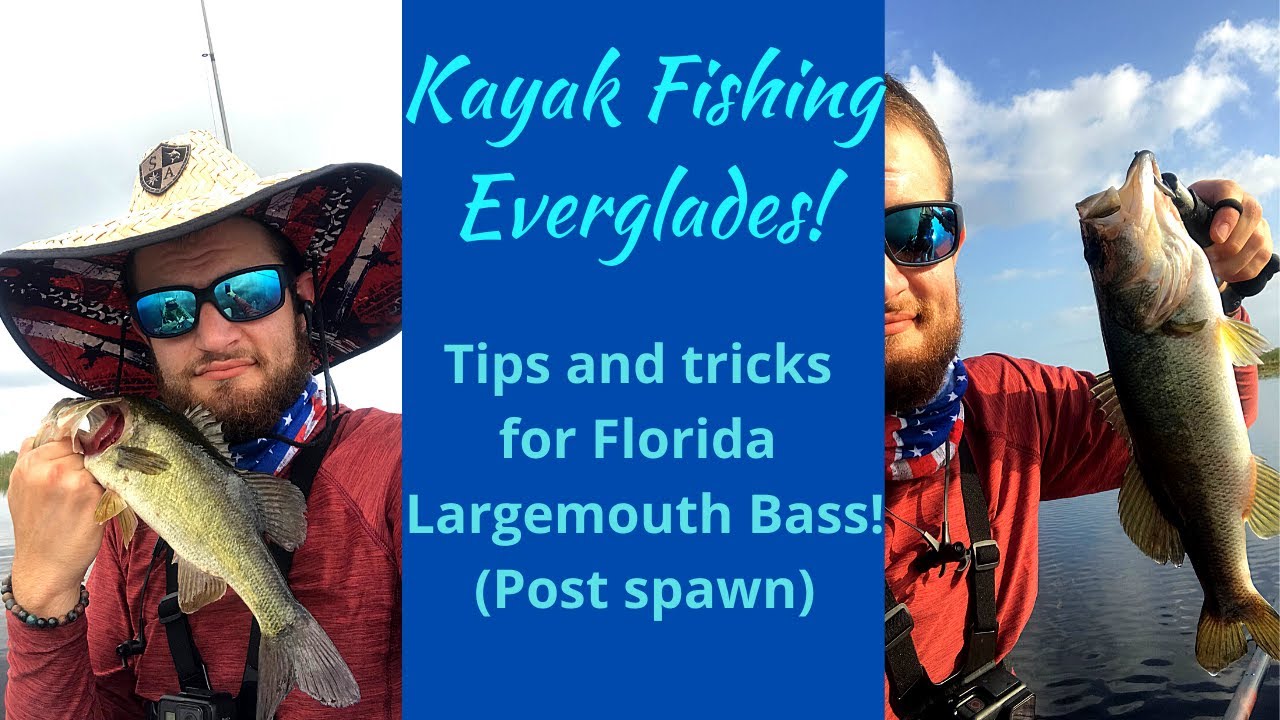 Bass Fishing Everglades(Kayak Fishing) YouTube
